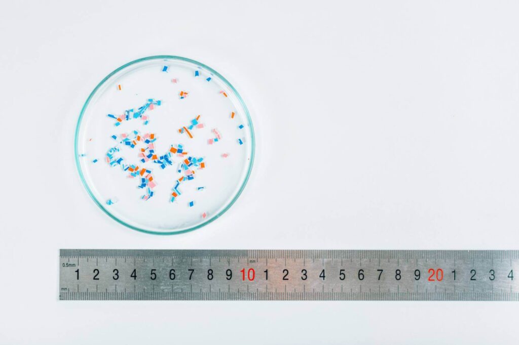 Microscope slide in which are contained microplastics. This microscope slide is counterposed to a rule to make people realise how tiny microplastics are.